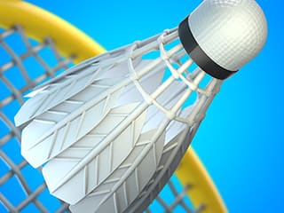 Badminton Clash 3D