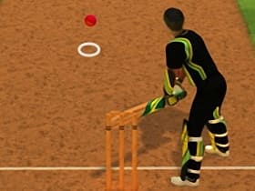 Cricket Batter Challenge