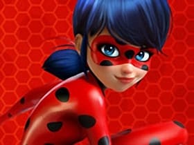 Miraculous Ladybug Puzzle