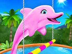 My Dolphin Show