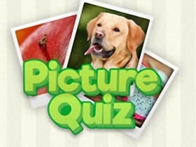 Picture Quiz