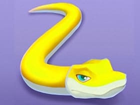 Snake Puzzle